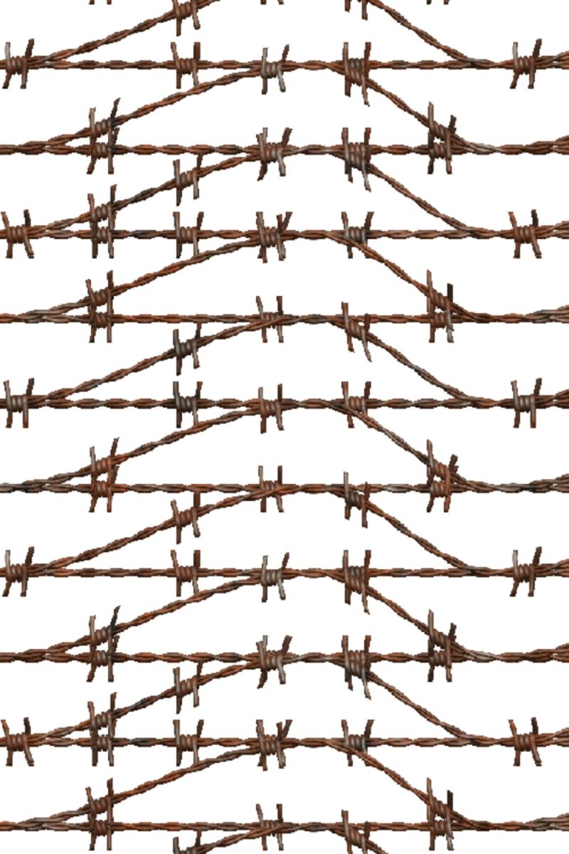 Barbed Wire 25