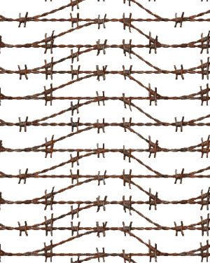 Barbed Wire 25