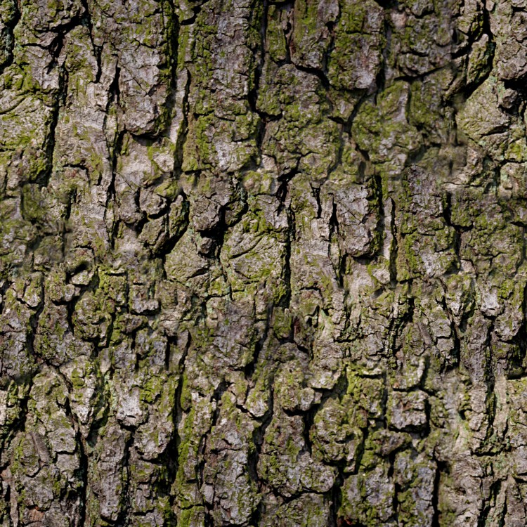 Bark 24 Camouflage