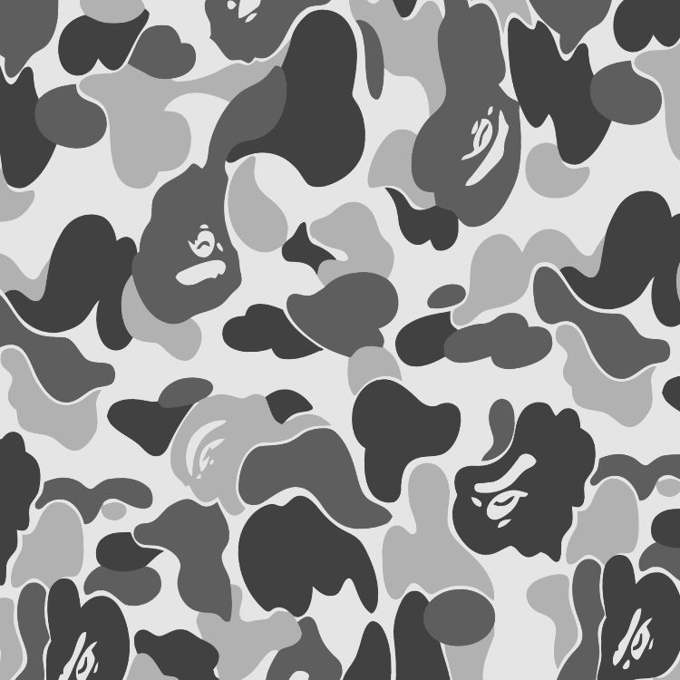Bathing Ape BAPE Urban Camouflage
