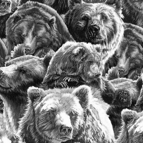 Bears 25