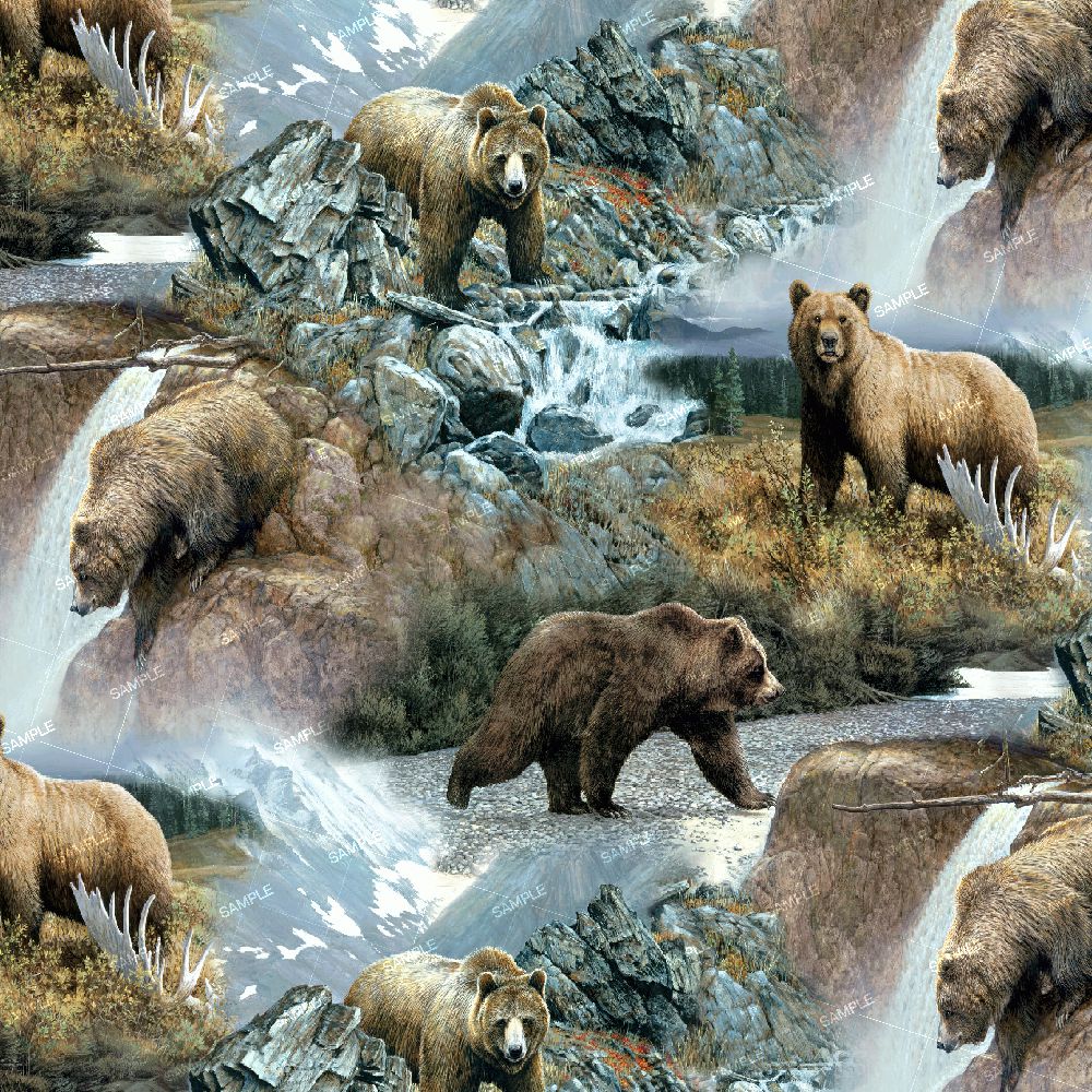 Bears Fishing in a Mountain Stream
