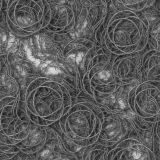 Bed-of-Thorns-22.jpg