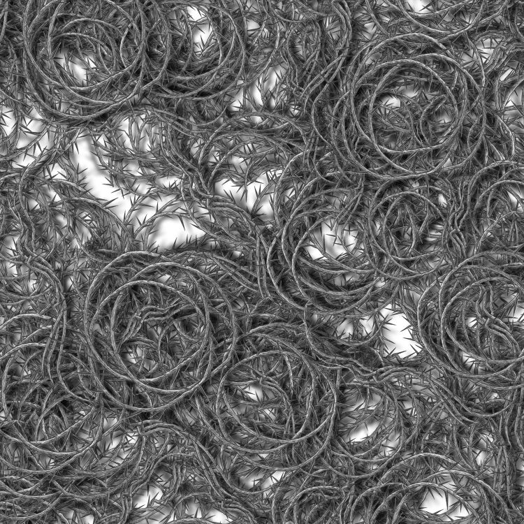 Bed of Thorns 23