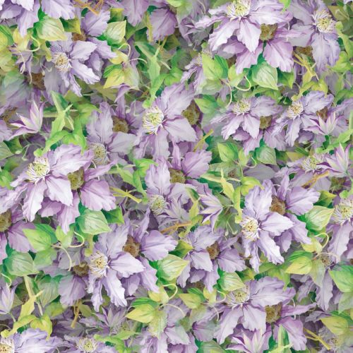 Bellflowers 22