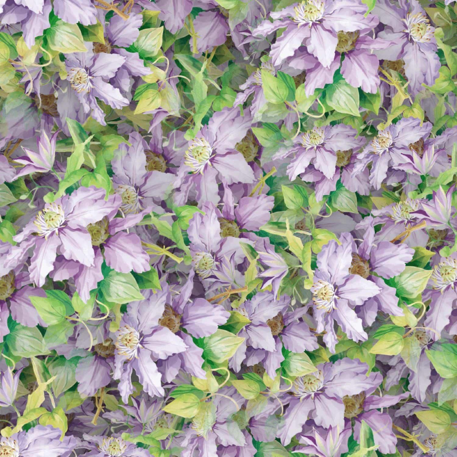 Bellflowers 22