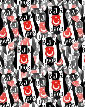 Besiktas