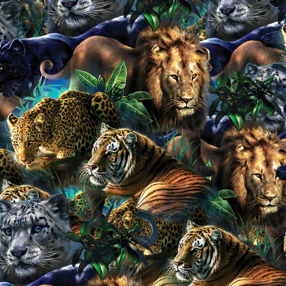 Big Cats 22