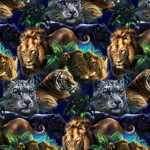 Big Cats 23
