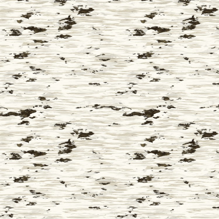 Birch Bark 31