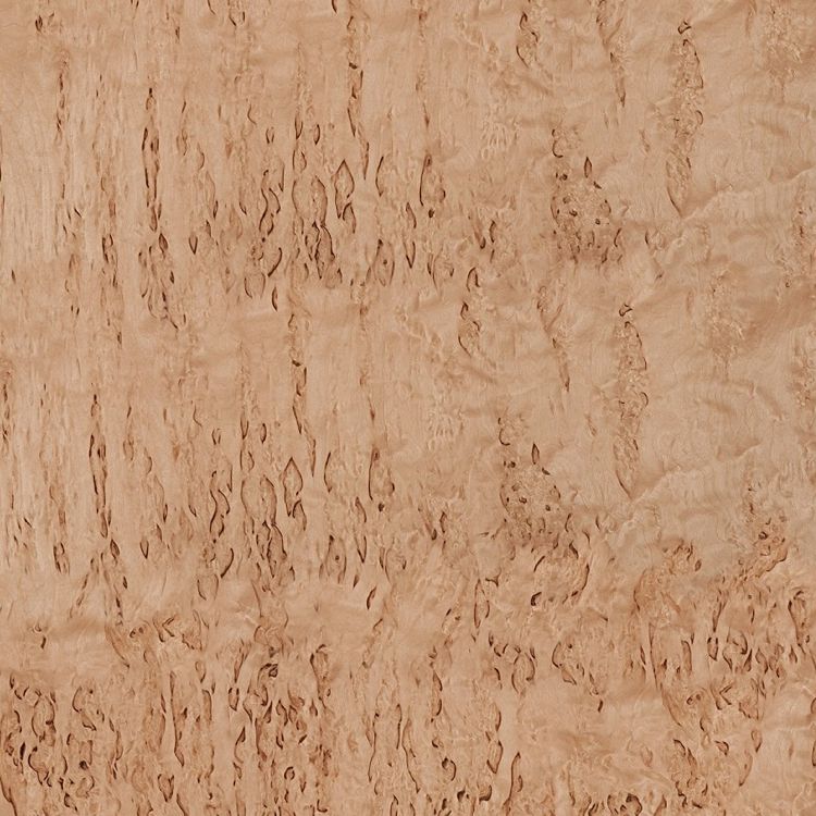 Birch Burl