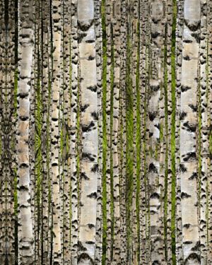 Birch Disruptive Camouflage