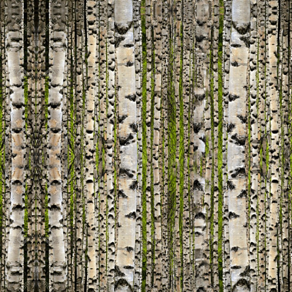 Birch Disruptive Camouflage