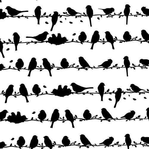 Birds on a Wire 22