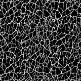 Black-Crackle