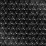 Black-Mamba-Snake-Scales-23-thumb