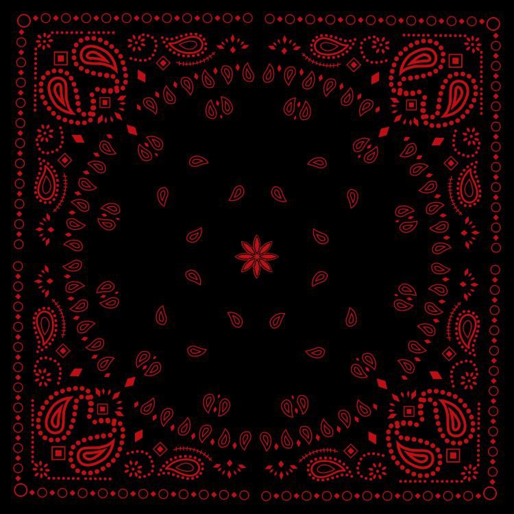 Black & Red Bandanna