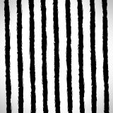 Black-and-White-Stripes