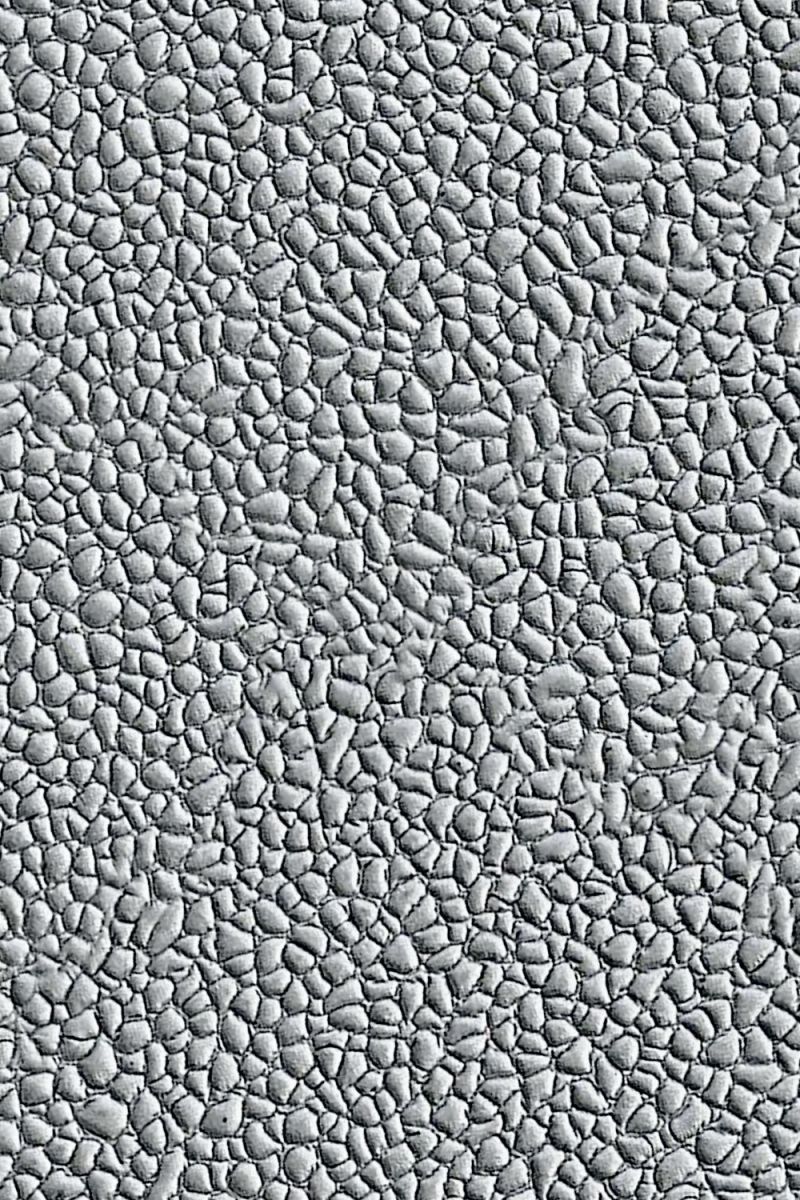 Blistered Paint