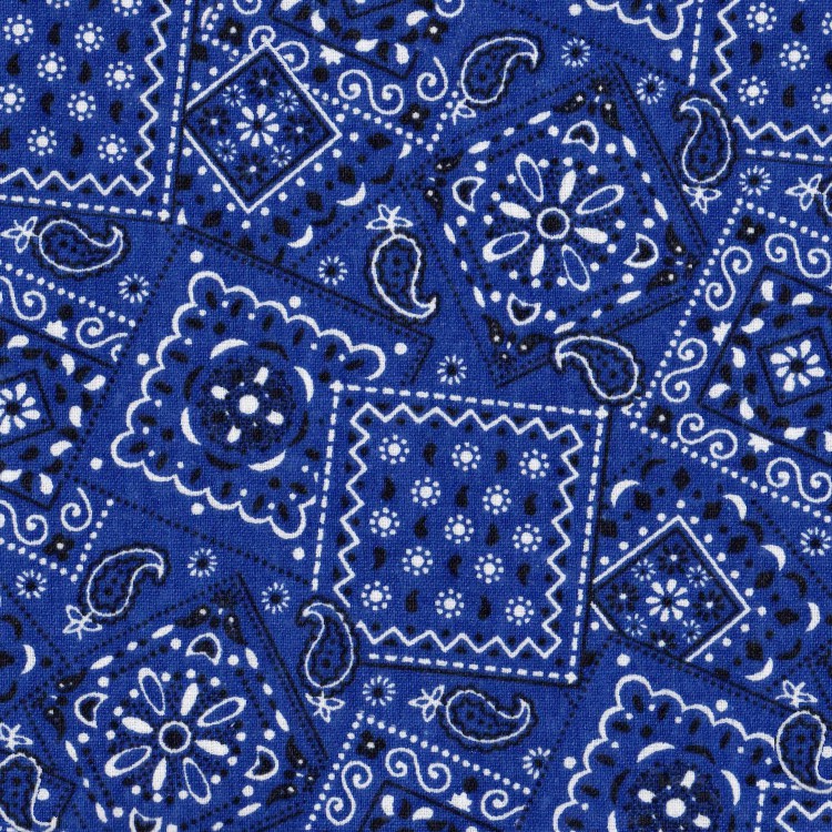 Blue Bandana 22
