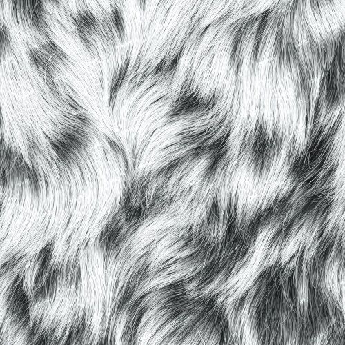 Blue Heeler Dog Fur 42