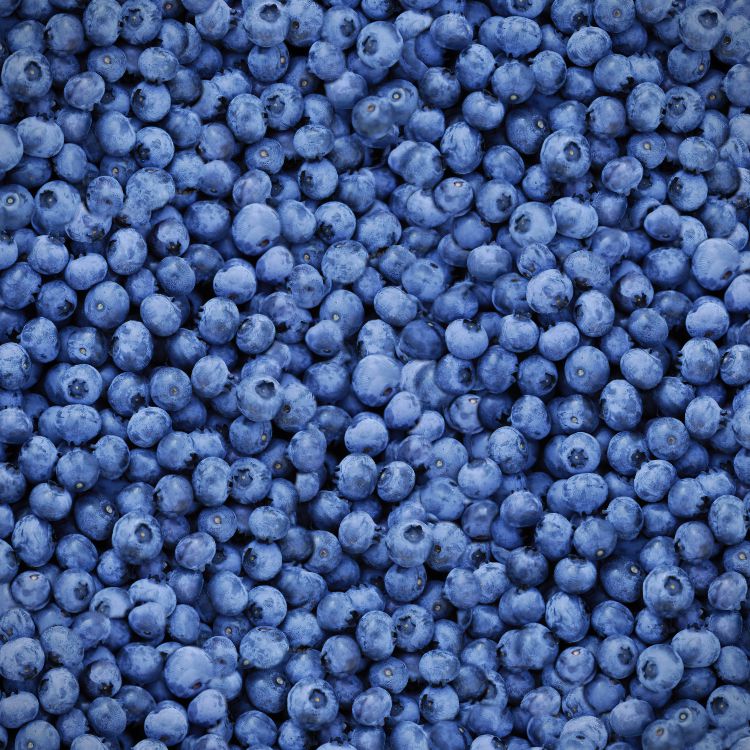 Blueberries 22