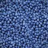 Blueberries-22