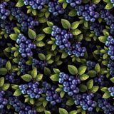 Blueberries-23