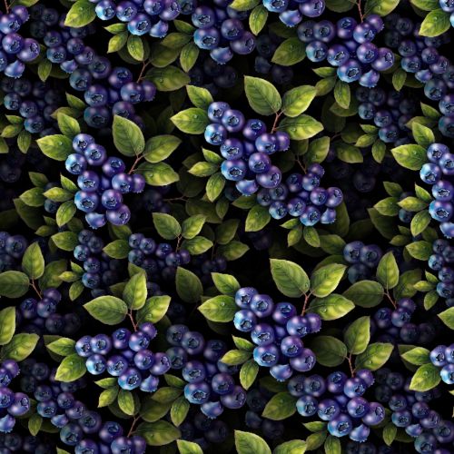 Blueberries 23