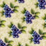 Blueberries-24