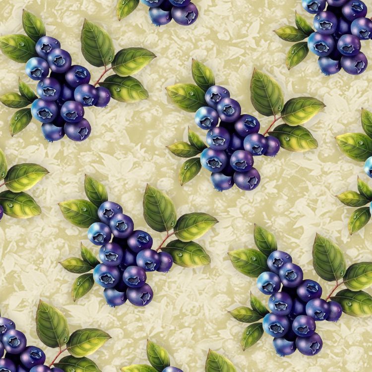 Blueberries 24