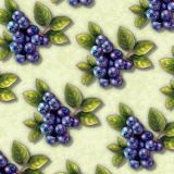 Blueberries-25