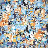 Bluey-22