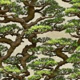 Bonsai-Tree-46
