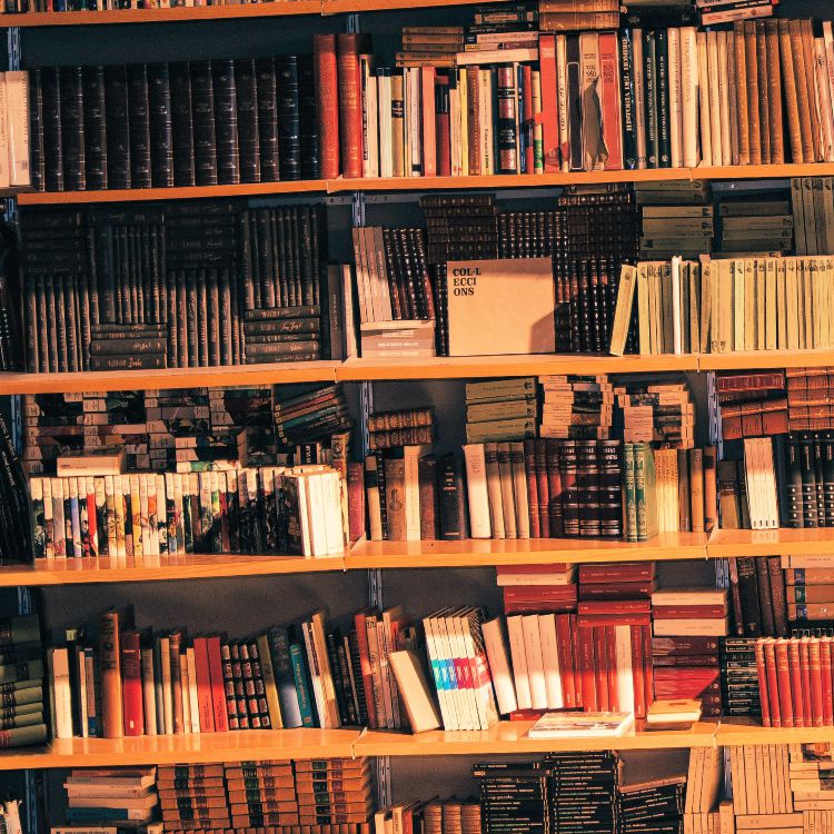 Bookshelf 28