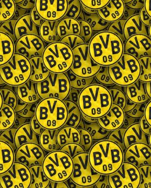 Borussia Dortmund 22