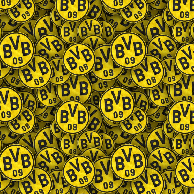 Borussia Dortmund 22