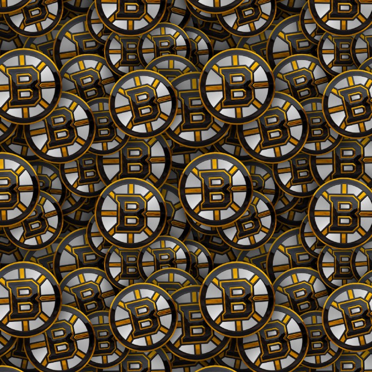 Boston Bruins 23