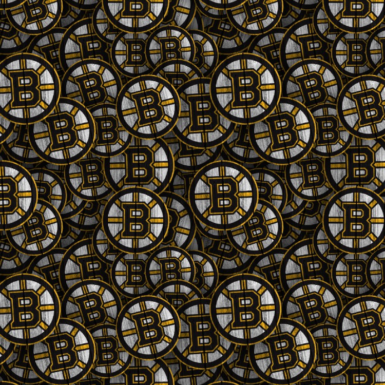 Boston Bruins 24