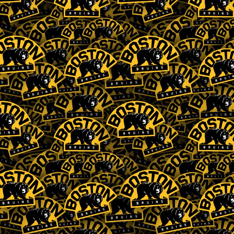 Boston Bruins 25