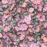 Botanical-Watercolor-49