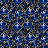 Boy-Scouts-Badges-22.jpg
