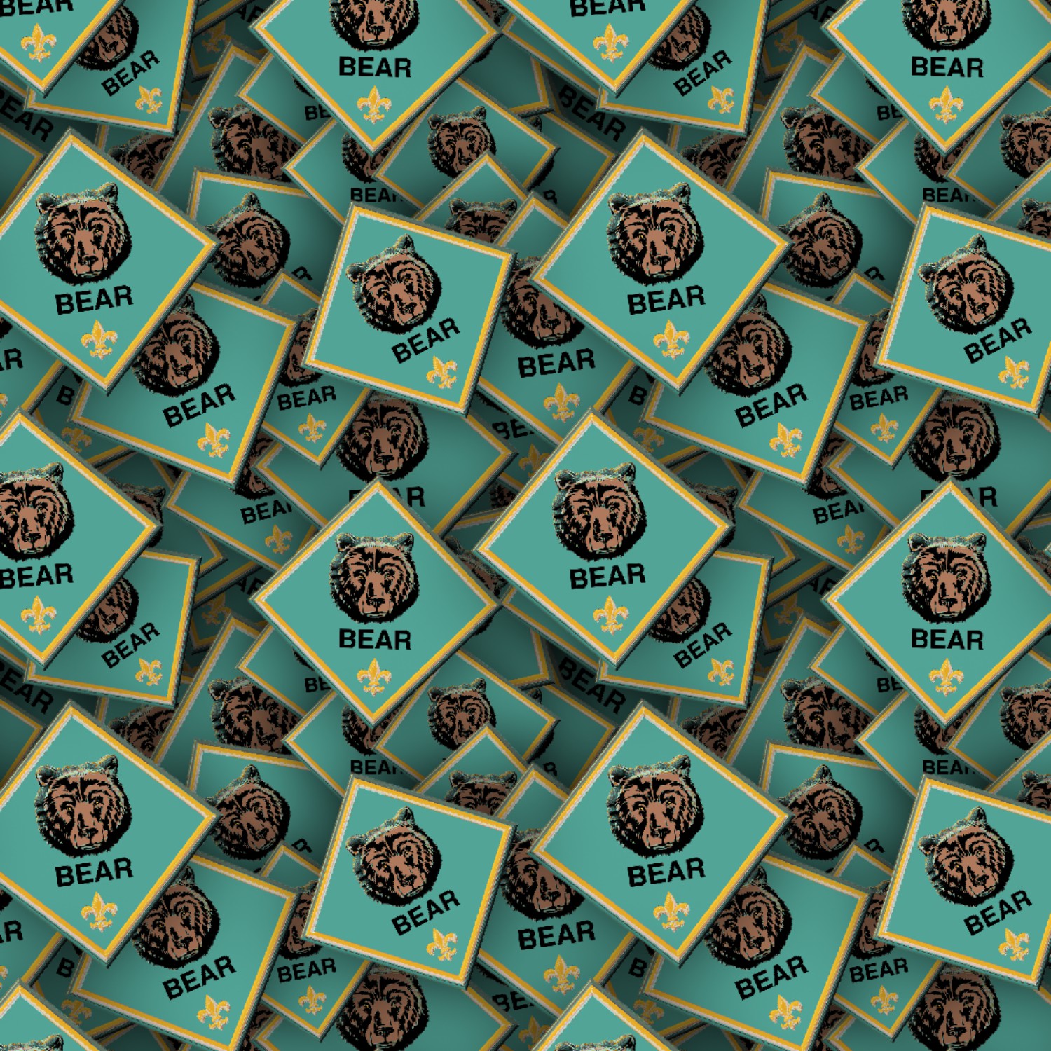 Boy Scouts Badges 24
