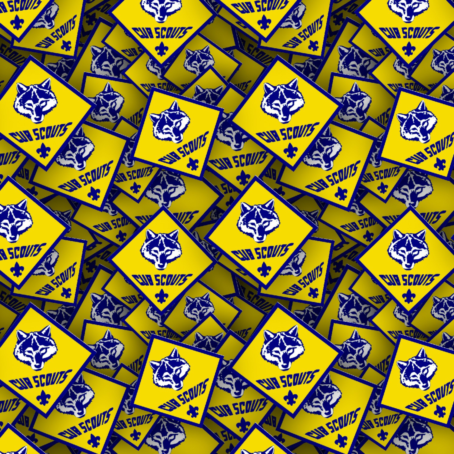Boy Scouts Badges 25