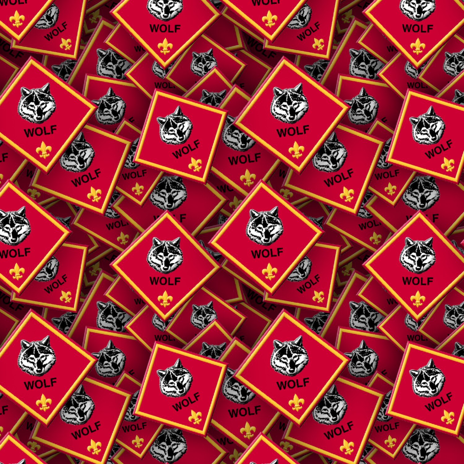 Boy Scouts Badges 27