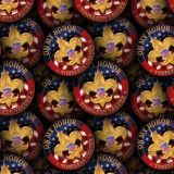 Boy-Scouts-of-America-23.jpg