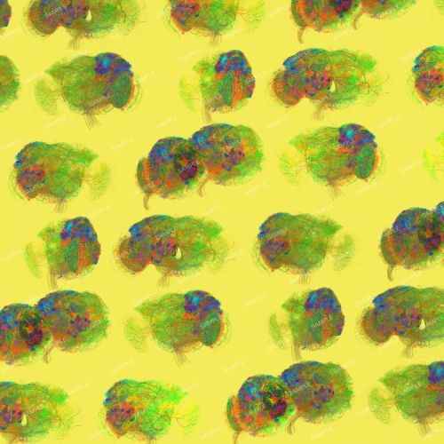 Brain Activity 24