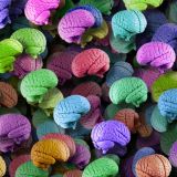 Brain-Candy-22