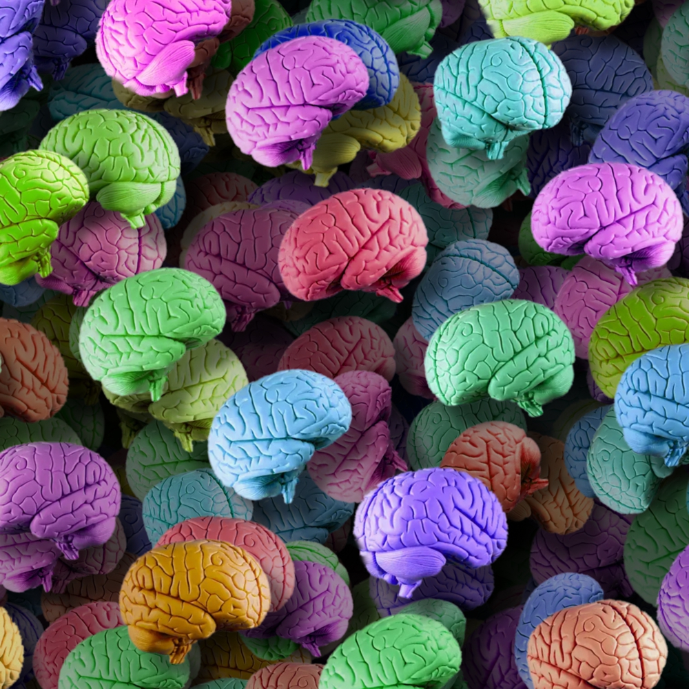 Brain Candy 22