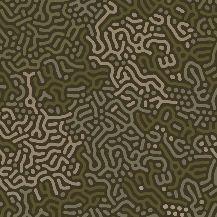 Brain Maze Camouflage 22
